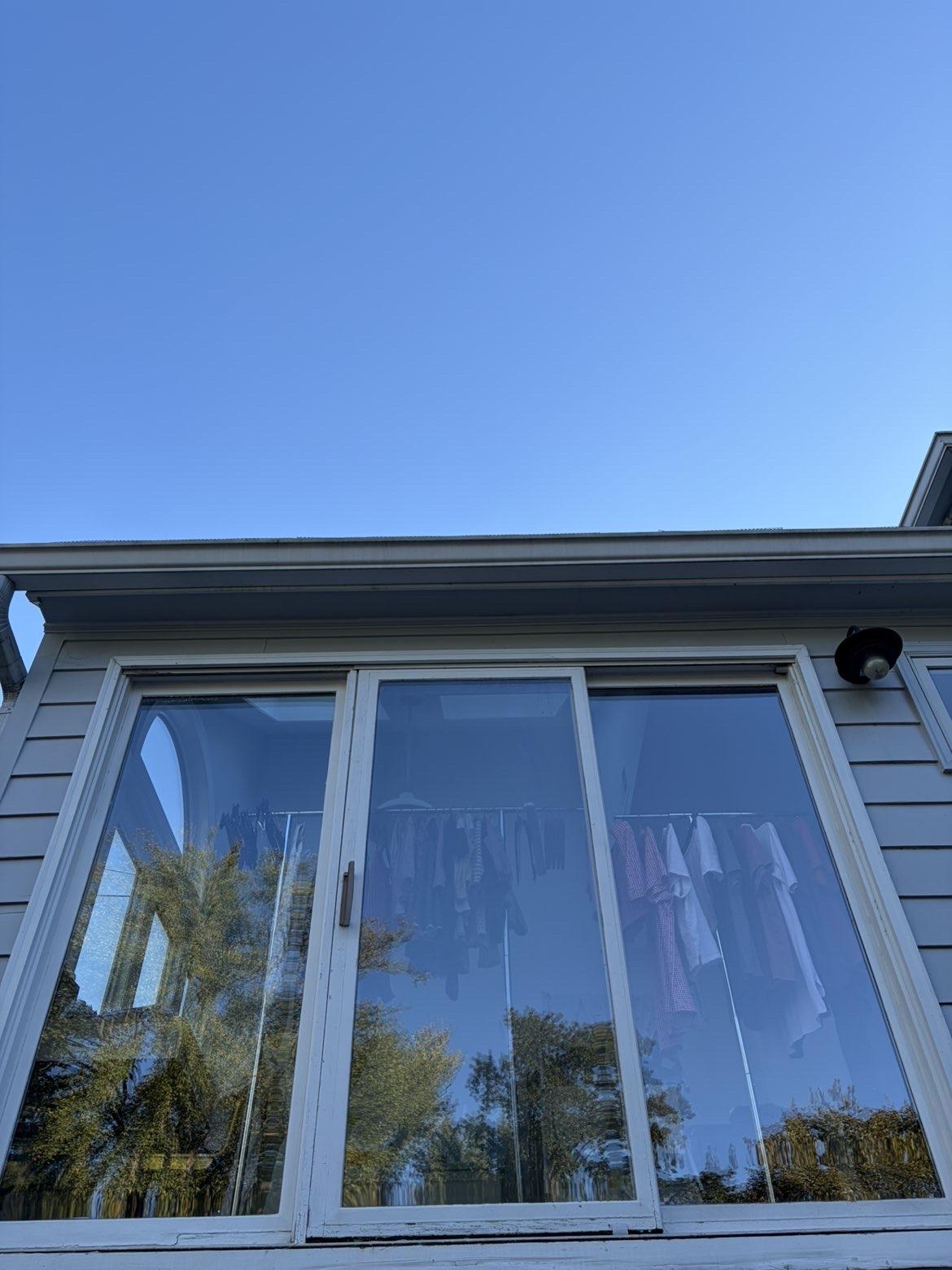 Large clean windows reflecting trees beneath a blue sky