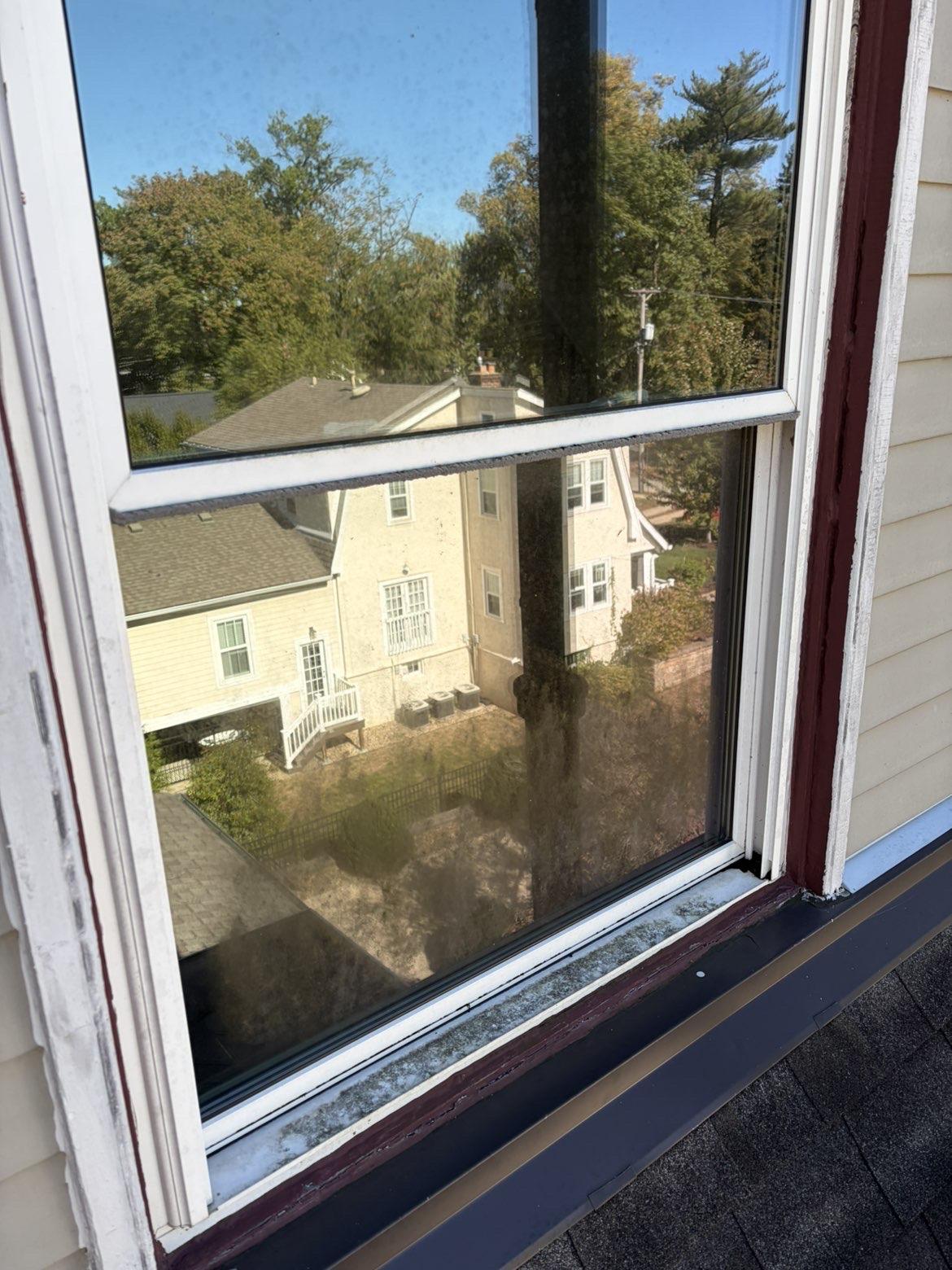 Before cleaning: Open window reflecting neighboring homes and trees