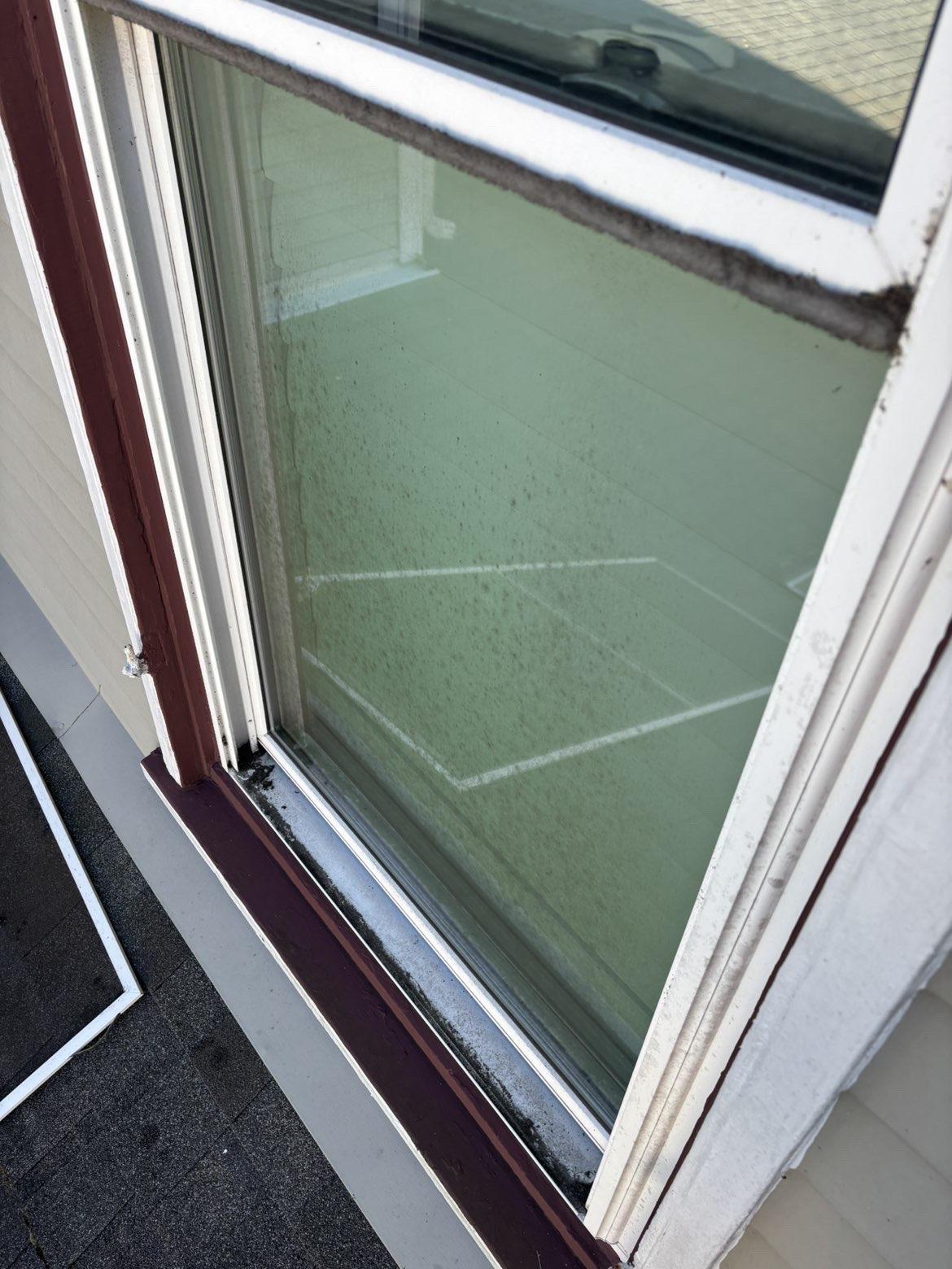 Before cleaning: Open sash window beside light-colored siding